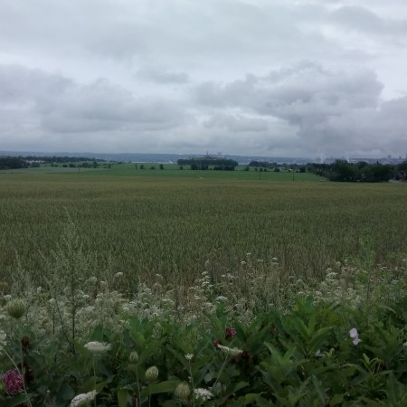 26 juillet 2019, Québec