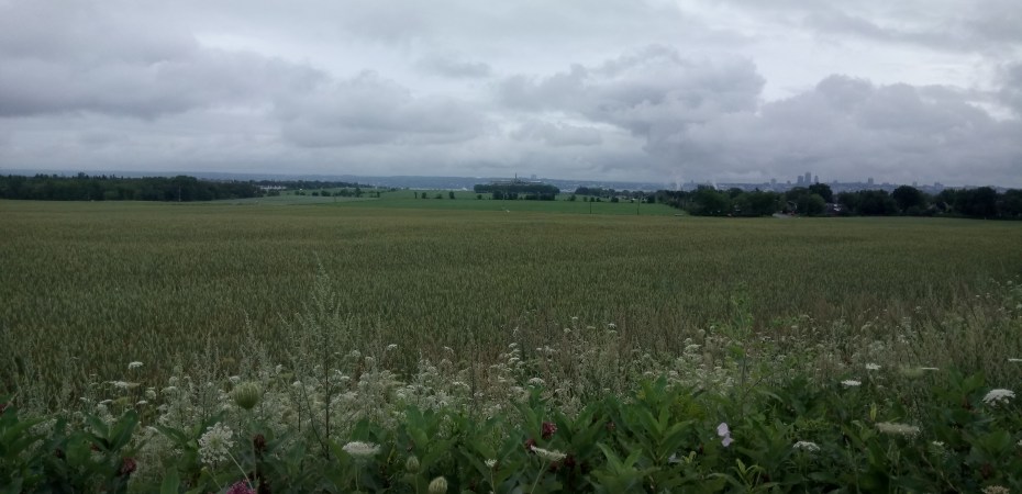 26 juillet 2019, Québec